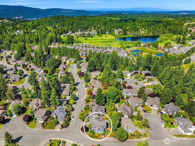 23976 SE 40th Pl, Sammamish, WA 98029 - aerial view of residential area with a heavily wooded area and a large body of water