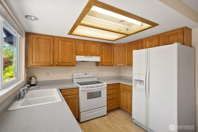 4206 SE 1st Pl, Renton, WA 98059 - kitchen with white appliances, under cabinet range hood, a sink, light wood-style floors, and light countertops