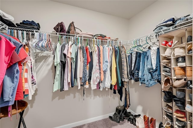 8713 E Gilman Ave, Arlington, WA 98223 - walk in closet with carpet floors