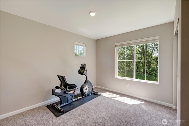 8713 E Gilman Ave, Arlington, WA 98223 - workout area featuring baseboards and carpet