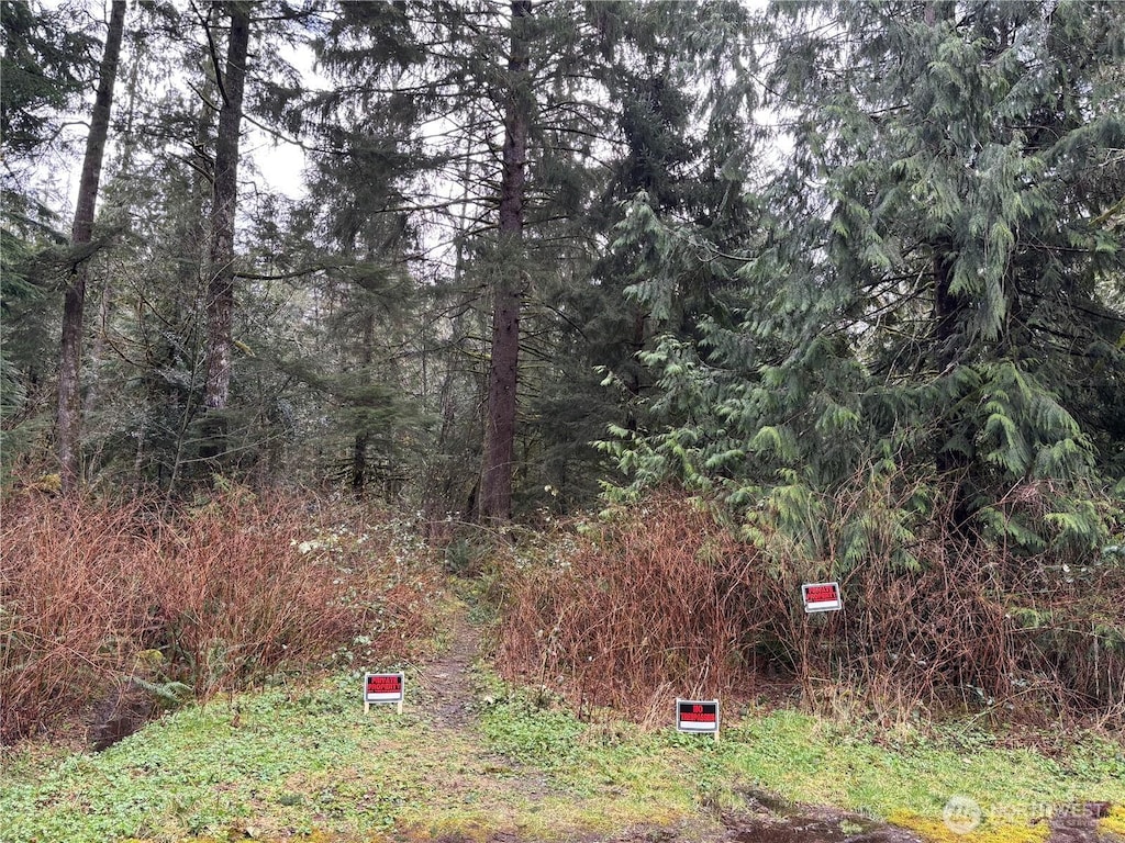 0 441st Ave SE, North Bend, WA 98045 - photo 1
