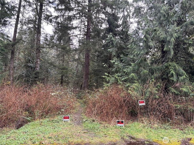 0 441st Ave SE, North Bend, WA 98045 - photo 1