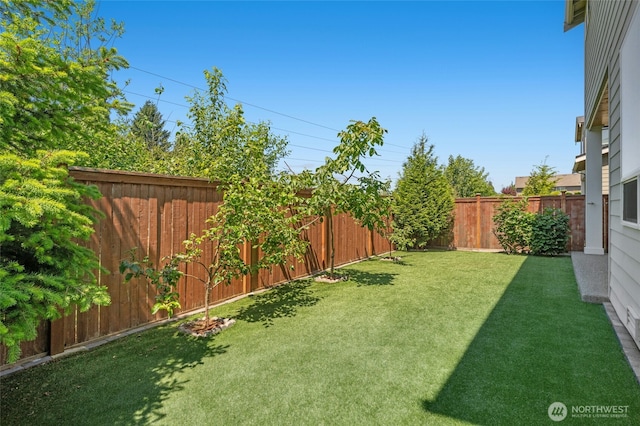 4309 231st Pl SE, Bothell, WA 98021 - view of yard