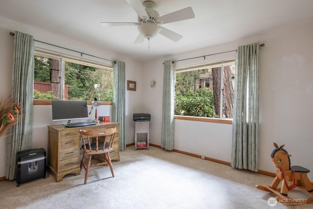 13237 8th Ave NW, Seattle, WA 98177 - photo 14