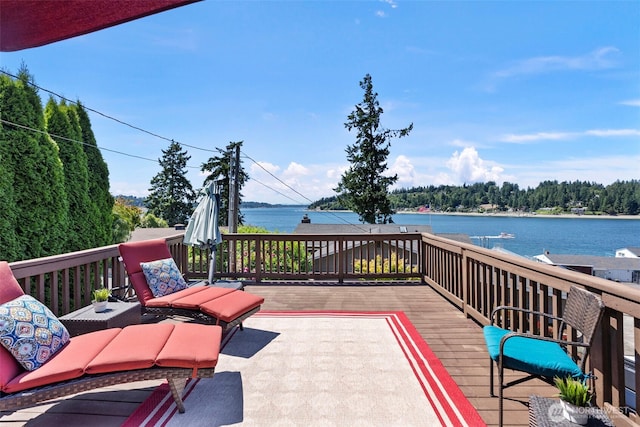 819 Berg Ct NW, Gig Harbor, WA 98335 - photo 26