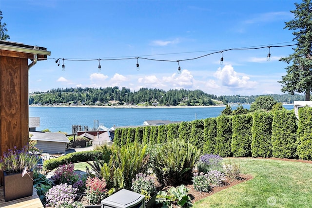 819 Berg Ct NW, Gig Harbor, WA 98335 - photo 27