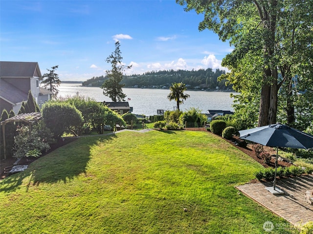 819 Berg Ct NW, Gig Harbor, WA 98335 - photo 34