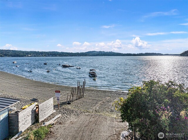 819 Berg Ct NW, Gig Harbor, WA 98335 - photo 37