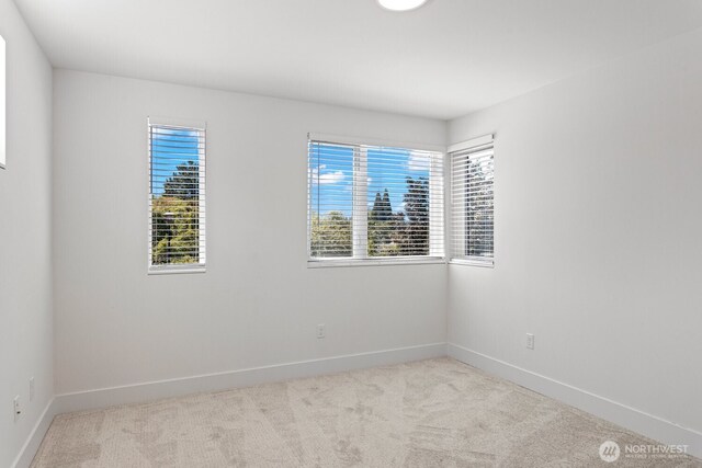 4270-4280 NE 50th St, Seattle, WA 98105 - photo 17
