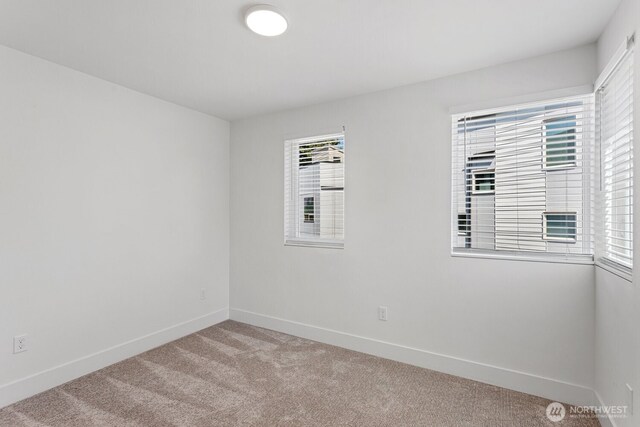 4270-4280 NE 50th St, Seattle, WA 98105 - photo 21