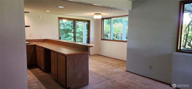10622 44th Ave SE, Everett, WA 98208 - kitchen featuring a textured wall, light carpet, a peninsula, plenty of natural light, and a textured ceiling