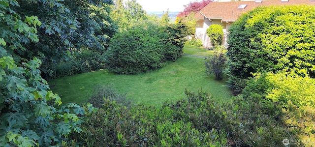 10622 44th Ave SE, Everett, WA 98208 - view of grassy yard