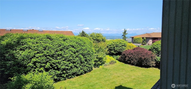 10622 44th Ave SE, Everett, WA 98208 - view of green lawn