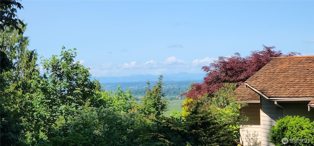 10622 44th Ave SE, Everett, WA 98208 - view of mountain background