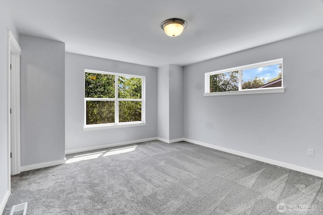 5129 S Morgan St, Seattle, WA 98118 - photo 23