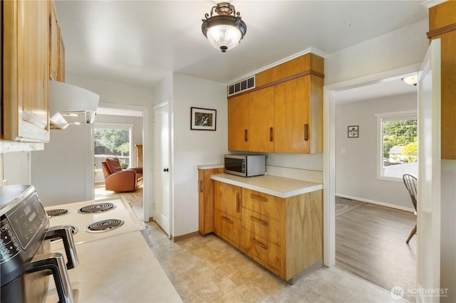 3804 Olympic Blvd W, University Place, WA 98466 - kitchen featuring stainless steel microwave, exhaust hood, light countertops, and light floors