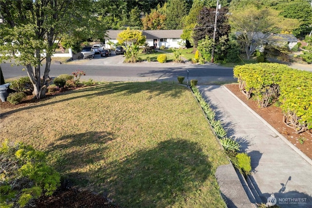 3804 Olympic Blvd W, University Place, WA 98466 - view of green lawn