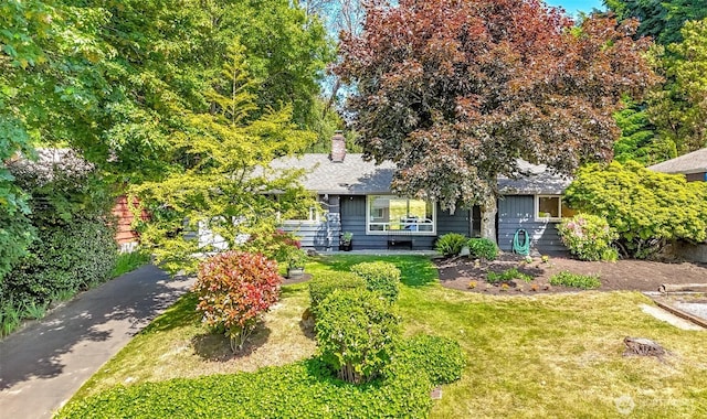 11258 29th Ave SW, Seattle, WA 98146 - view of property hidden behind natural elements featuring a front lawn and a chimney