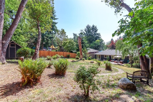 11258 29th Ave SW, Seattle, WA 98146 - view of yard