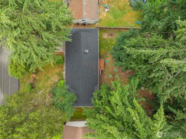 35804 15th Ave SW, Federal Way, WA 98023 - view from above of property