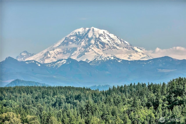 20219 SE 344th St, Auburn, WA 98092 - view of mountain background featuring a heavily wooded area