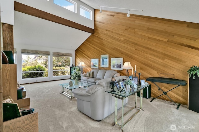 20219 SE 344th St, Auburn, WA 98092 - living area featuring wooden walls, a high ceiling, and carpet