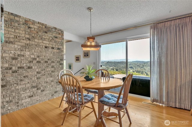 20219 SE 344th St, Auburn, WA 98092 - dining room featuring a textured ceiling, brick wall, a mountain view, and light wood finished floors