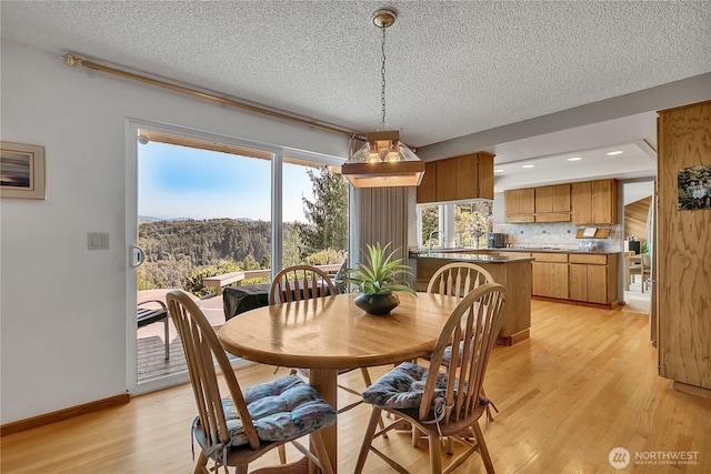 20219 SE 344th St, Auburn, WA 98092 - dining room featuring light wood finished floors, a textured ceiling, baseboards, and recessed lighting
