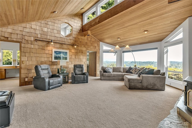 20219 SE 344th St, Auburn, WA 98092 - carpeted living area with wood ceiling and high vaulted ceiling