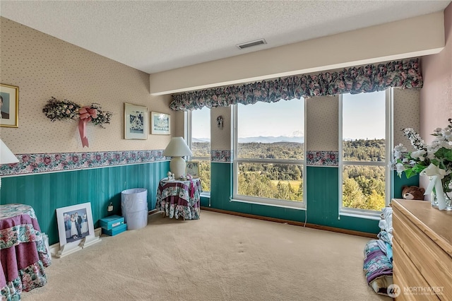 20219 SE 344th St, Auburn, WA 98092 - rec room featuring wallpapered walls, carpet flooring, wainscoting, and a textured ceiling