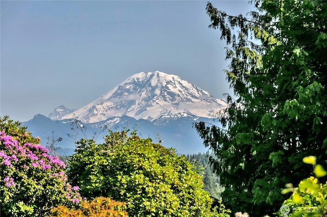 20219 SE 344th St, Auburn, WA 98092 - mountain view