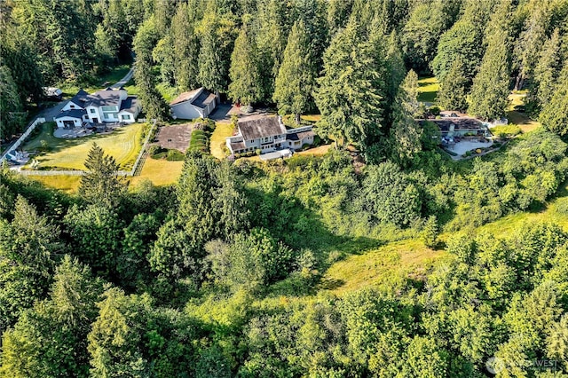 20219 SE 344th St, Auburn, WA 98092 - bird's eye view of a forest