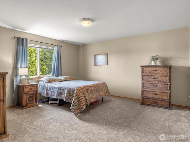 17441 Dusty Ct SW, Tenino, WA 98589 - photo 21