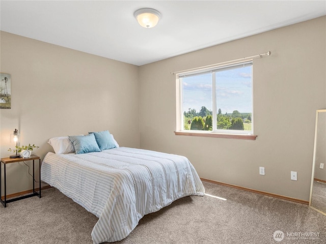 17441 Dusty Ct SW, Tenino, WA 98589 - photo 26