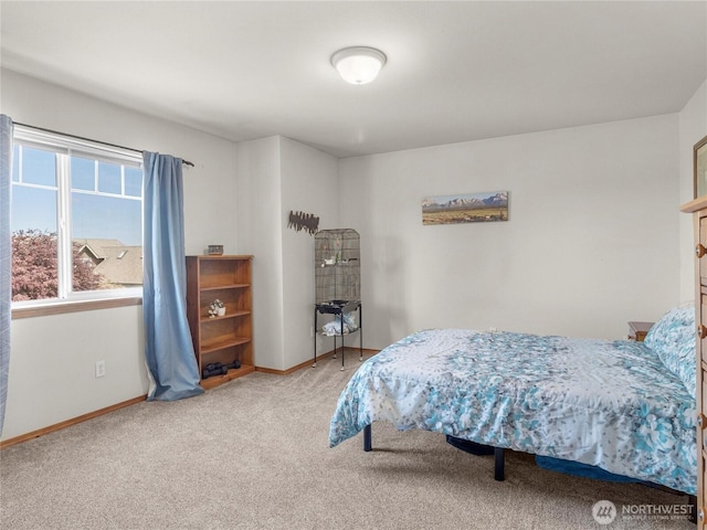 17441 Dusty Ct SW, Tenino, WA 98589 - photo 28