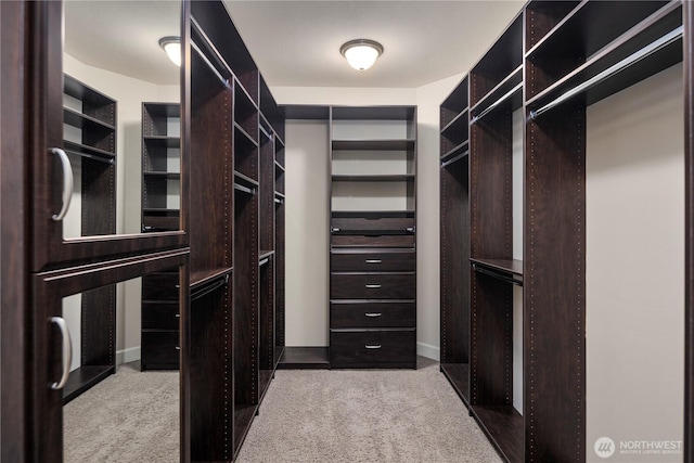 24332 NE 8th Pl, Sammamish, WA 98074 - spacious closet featuring light carpet