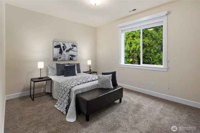 24332 NE 8th Pl, Sammamish, WA 98074 - carpeted bedroom with baseboards