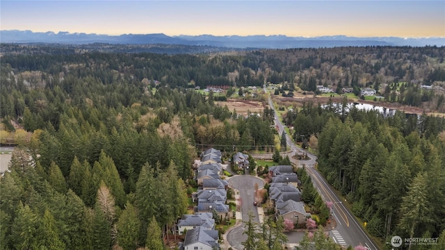 24332 NE 8th Pl, Sammamish, WA 98074 - aerial view at dusk of a forest view and a residential view