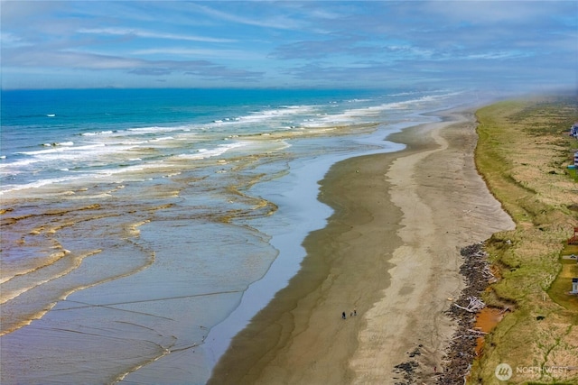 1421 Ocean Crest Ave SW, Ocean Shores, WA 98569 - water view featuring nearby beach