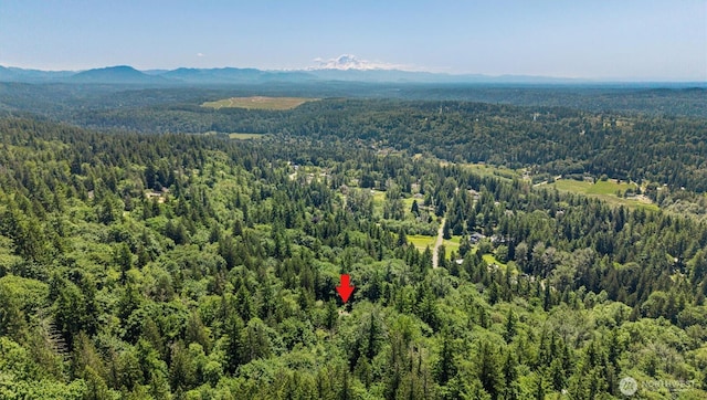 11700 198th Ave SE, Issaquah, WA 98027 - photo 39