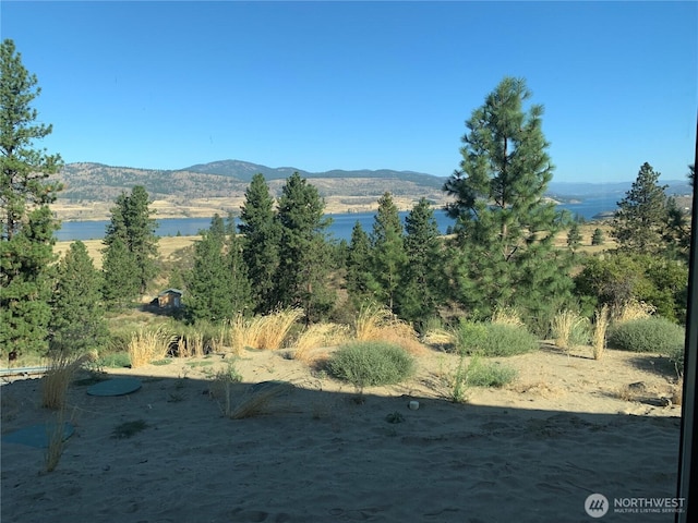 39461 Bitterroot Ln N, Seven Bays, WA 99122