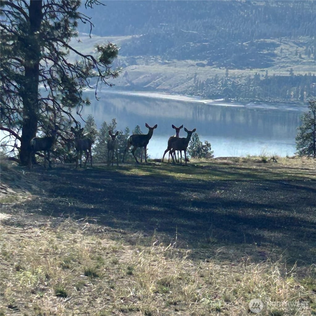 39461 Bitterroot Ln N, Seven Bays, WA 99122