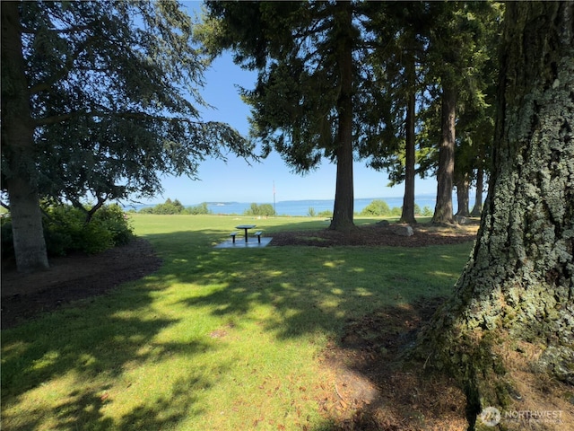 1621 Edgemoor Ln, Everett, WA 98203 - view of grassy yard with a water view