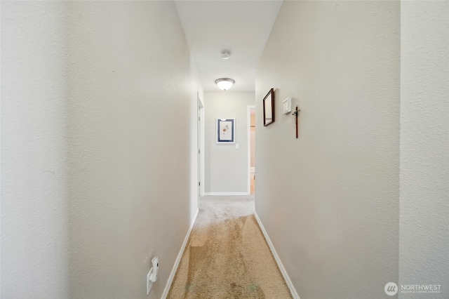 919 Carmella St, Walla Walla, WA 99362 - corridor with light colored carpet and baseboards
