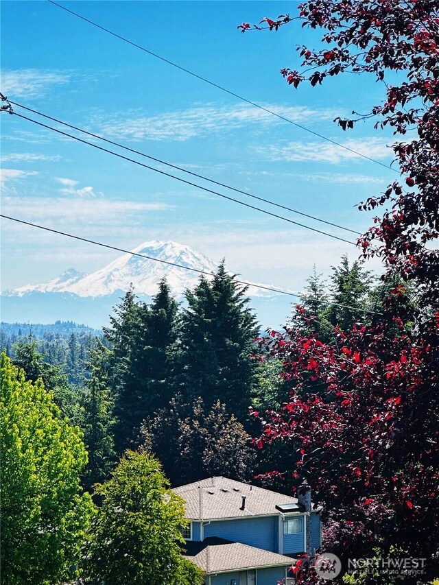 8226 128th Ave SE, Newcastle, WA 98056 - photo 37