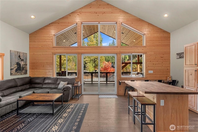 11175 Wending Ln, Leavenworth, WA 98826 - living area featuring high vaulted ceiling, wood walls, plenty of natural light, dark wood-type flooring, and recessed lighting
