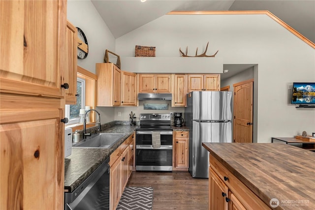 11175 Wending Ln, Leavenworth, WA 98826 - kitchen featuring stainless steel appliances, under cabinet range hood, a sink, dark wood-type flooring, and wooden counters