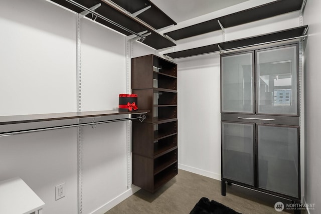 501 Roy St Unit T308, Seattle, WA 98109 - view of walk in closet