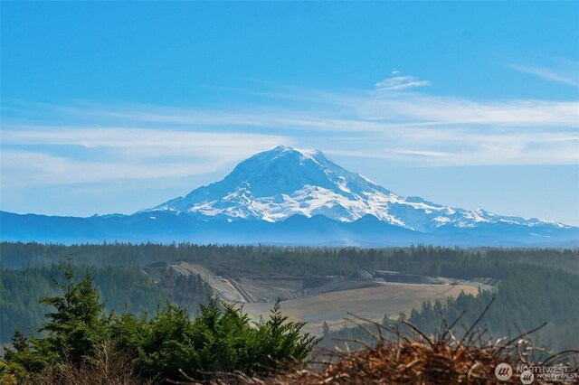 11402 136th Ave E, Puyallup, WA 98374 - photo 5