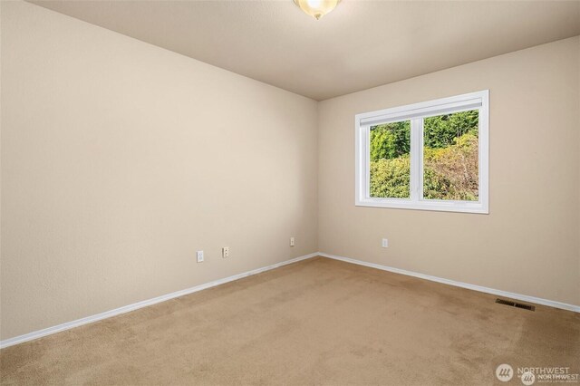11402 136th Ave E, Puyallup, WA 98374 - photo 27